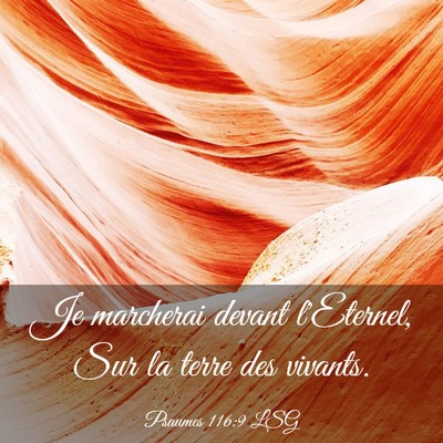 Picture 03 - Psaumes 116:9 LSG - Je marcherai devant l'Eternel, Sur la terre des - Bible Verse Picture
