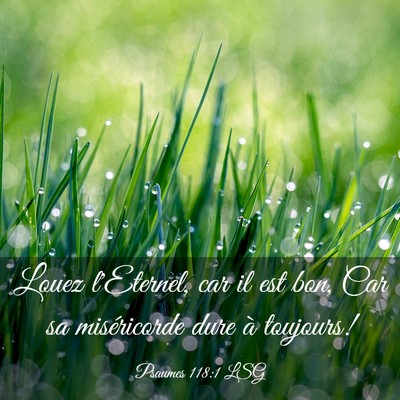 Picture 03 - Psaumes 118:1 LSG - Louez l'Eternel, car il est bon, Car sa - Bible Verse Picture