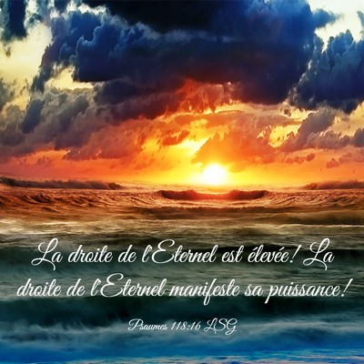 Picture 03 - Psaumes 118:16 LSG - La droite de l'Eternel est élevée! La droite de - Bible Verse Picture