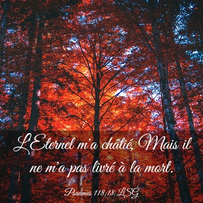 Picture 03 - Psaumes 118:18 LSG - L'Eternel m'a châtié, Mais il ne m'a pas livré - Bible Verse Picture