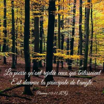 Picture 03 - Psaumes 118:22 LSG - La pierre qu'ont rejetée ceux qui bâtissaient - Bible Verse Picture