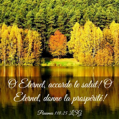 Picture 03 - Psaumes 118:25 LSG - O Eternel, accorde le salut! O Eternel, donne la - Bible Verse Picture