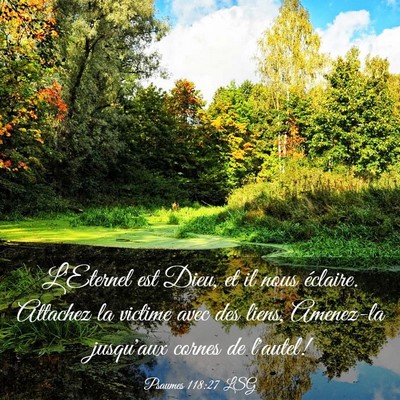 Picture 03 - Psaumes 118:27 LSG - L'Eternel est Dieu, et il nous éclaire. Attachez - Bible Verse Picture