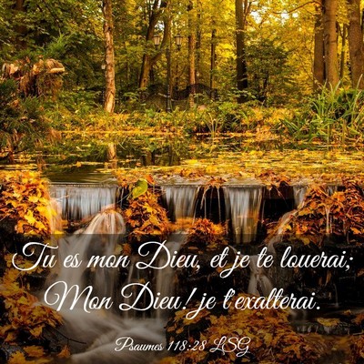 Picture 03 - Psaumes 118:28 LSG - Tu es mon Dieu, et je te louerai; Mon Dieu! je - Bible Verse Picture