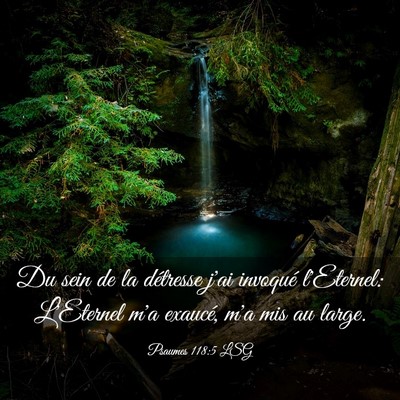Picture 03 - Psaumes 118:5 LSG - Du sein de la détresse j'ai invoqué l'Eternel: - Bible Verse Picture
