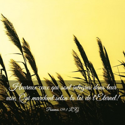 Picture 03 - Psaumes 119:1 LSG - Heureux ceux qui sont intègres dans leur voie, - Bible Verse Picture