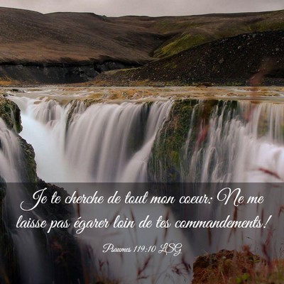 Picture 03 - Psaumes 119:10 LSG - Je te cherche de tout mon coeur: Ne me laisse pas - Bible Verse Picture