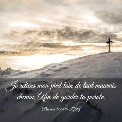Picture 03 - Psaumes 119:101 LSG - Je retiens mon pied loin de tout mauvais chemin, - Bible Verse Picture