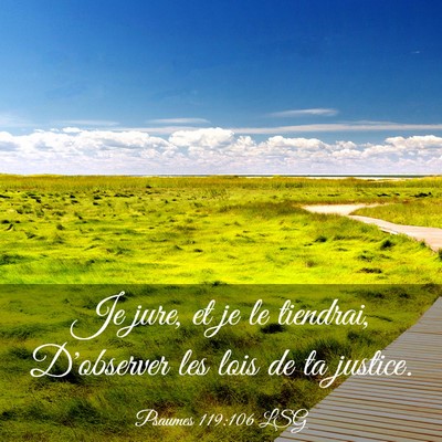 Picture 03 - Psaumes 119:106 LSG - Je jure, et je le tiendrai, D'observer les lois - Bible Verse Picture