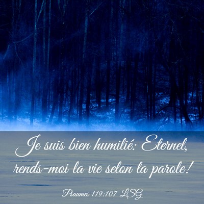 Picture 03 - Psaumes 119:107 LSG - Je suis bien humilié: Eternel, rends-moi la vie - Bible Verse Picture