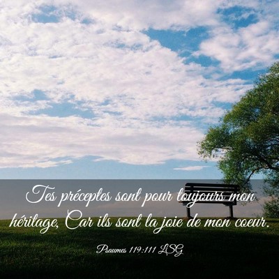 Picture 03 - Psaumes 119:111 LSG - Tes préceptes sont pour toujours mon héritage, - Bible Verse Picture