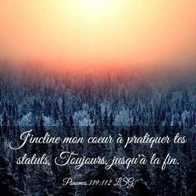 Picture 03 - Psaumes 119:112 LSG - J'incline mon coeur à pratiquer tes statuts, - Bible Verse Picture