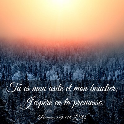 Picture 03 - Psaumes 119:114 LSG - Tu es mon asile et mon bouclier; J'espère en ta - Bible Verse Picture