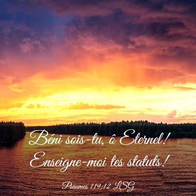 Picture 03 - Psaumes 119:12 LSG - Béni sois-tu, ô Eternel! Enseigne-moi tes - Bible Verse Picture