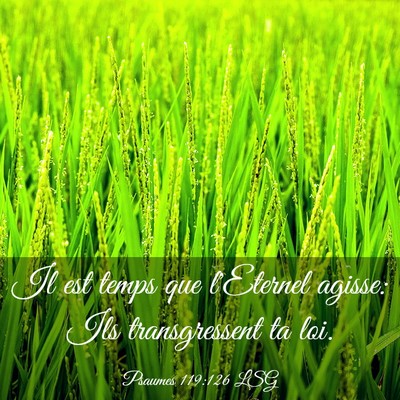 Picture 03 - Psaumes 119:126 LSG - Il est temps que l'Eternel agisse: Ils - Bible Verse Picture
