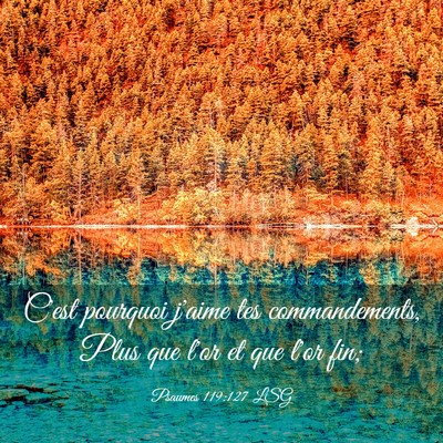 Picture 03 - Psaumes 119:127 LSG - C'est pourquoi j'aime tes commandements, Plus que - Bible Verse Picture