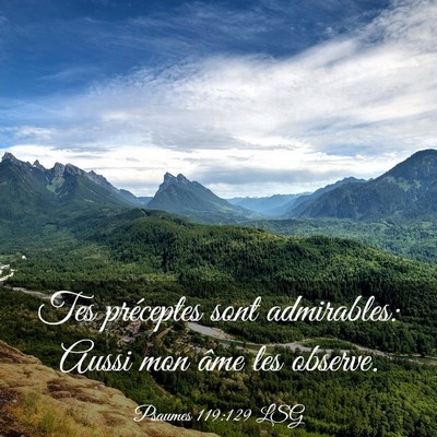 Picture 03 - Psaumes 119:129 LSG - Tes préceptes sont admirables: Aussi mon âme - Bible Verse Picture