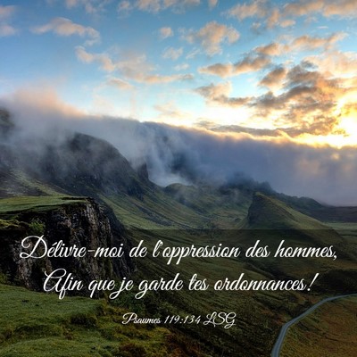 Picture 03 - Psaumes 119:134 LSG - Délivre-moi de l'oppression des hommes, Afin que - Bible Verse Picture