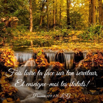 Picture 03 - Psaumes 119:135 LSG - Fais luire ta face sur ton serviteur, Et - Bible Verse Picture