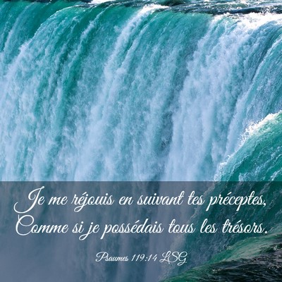Picture 03 - Psaumes 119:14 LSG - Je me réjouis en suivant tes préceptes, Comme - Bible Verse Picture