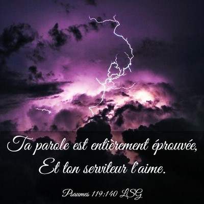 Picture 03 - Psaumes 119:140 LSG - Ta parole est entièrement éprouvée, Et ton - Bible Verse Picture