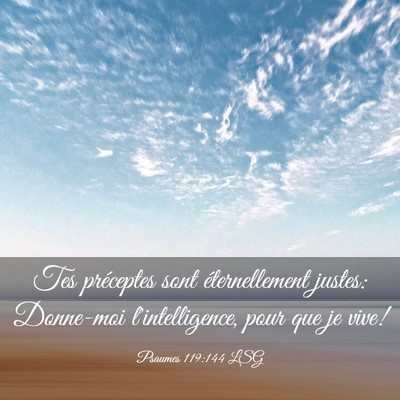 Picture 03 - Psaumes 119:144 LSG - Tes préceptes sont éternellement justes: - Bible Verse Picture