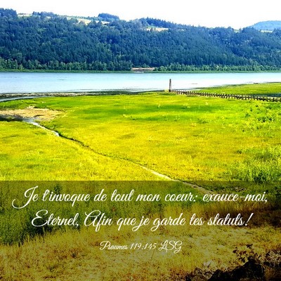 Picture 03 - Psaumes 119:145 LSG - Je t'invoque de tout mon coeur: exauce-moi, - Bible Verse Picture