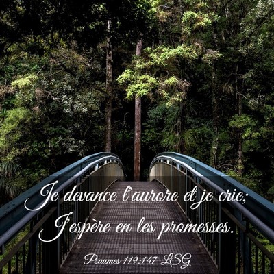 Picture 03 - Psaumes 119:147 LSG - Je devance l'aurore et je crie; J'espère en tes - Bible Verse Picture