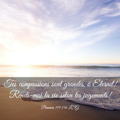 Picture 03 - Psaumes 119:156 LSG - Tes compassions sont grandes, ô Eternel! - Bible Verse Picture