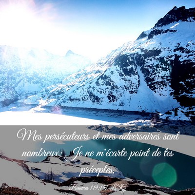 Picture 03 - Psaumes 119:157 LSG - Mes persécuteurs et mes adversaires sont - Bible Verse Picture