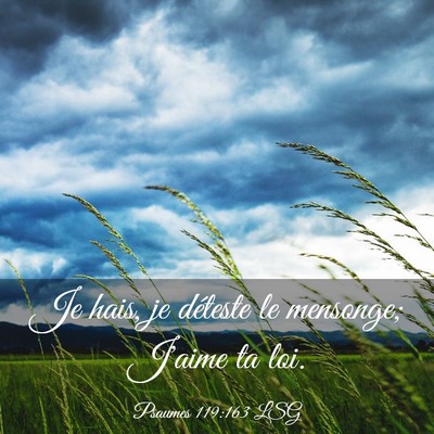 Picture 03 - Psaumes 119:163 LSG - Je hais, je déteste le mensonge; J'aime ta - Bible Verse Picture