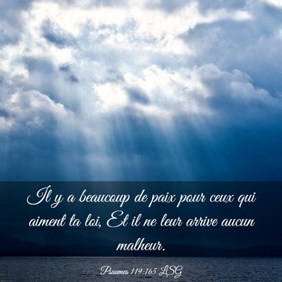 Picture 03 - Psaumes 119:165 LSG - Il y a beaucoup de paix pour ceux qui aiment ta - Bible Verse Picture