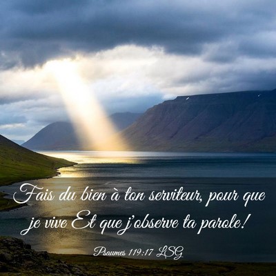 Picture 03 - Psaumes 119:17 LSG - Fais du bien à ton serviteur, pour que je vive - Bible Verse Picture