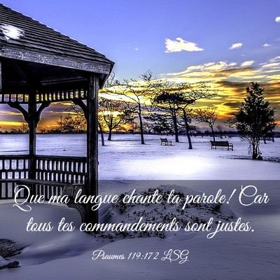Picture 03 - Psaumes 119:172 LSG - Que ma langue chante ta parole! Car tous tes - Bible Verse Picture