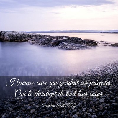 Picture 03 - Psaumes 119:2 LSG - Heureux ceux qui gardent ses préceptes, Qui le - Bible Verse Picture