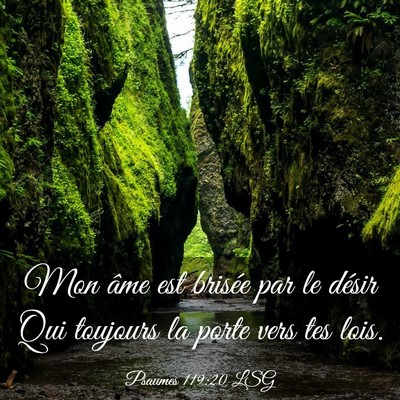 Picture 03 - Psaumes 119:20 LSG - Mon âme est brisée par le désir Qui toujours - Bible Verse Picture