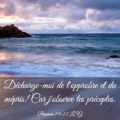 Picture 03 - Psaumes 119:22 LSG - Décharge-moi de l'opprobre et du mépris! Car - Bible Verse Picture