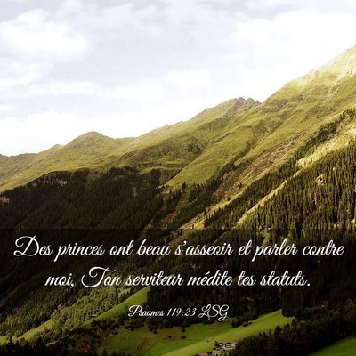 Picture 03 - Psaumes 119:23 LSG - Des princes ont beau s'asseoir et parler contre - Bible Verse Picture