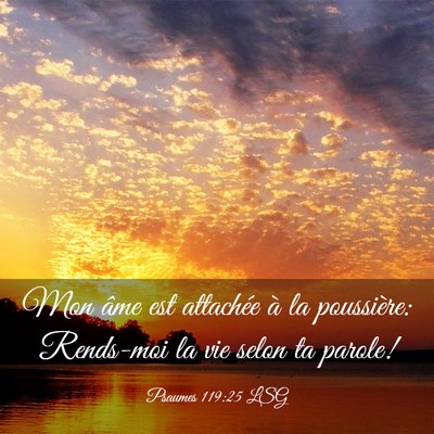 Picture 03 - Psaumes 119:25 LSG - Mon âme est attachée à la poussière: - Bible Verse Picture