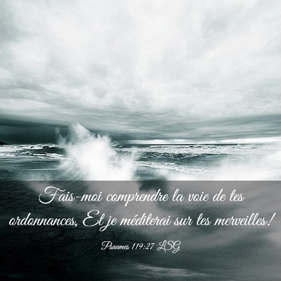 Picture 03 - Psaumes 119:27 LSG - Fais-moi comprendre la voie de tes ordonnances, - Bible Verse Picture