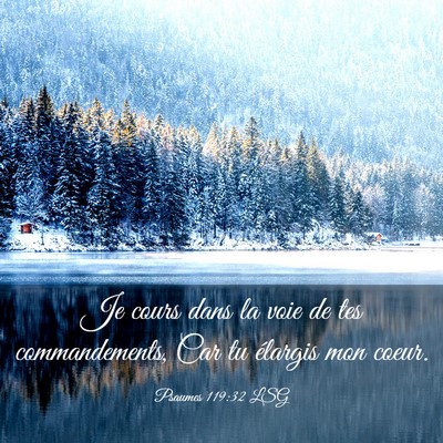 Picture 03 - Psaumes 119:32 LSG - Je cours dans la voie de tes commandements, Car - Bible Verse Picture