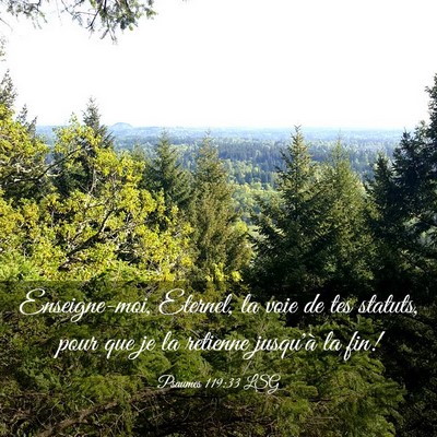 Picture 03 - Psaumes 119:33 LSG - Enseigne-moi, Eternel, la voie de tes statuts, - Bible Verse Picture