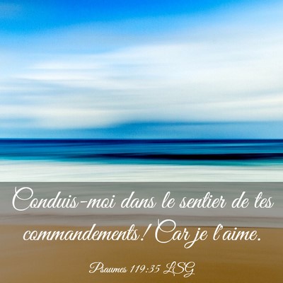 Picture 03 - Psaumes 119:35 LSG - Conduis-moi dans le sentier de tes commandements! - Bible Verse Picture