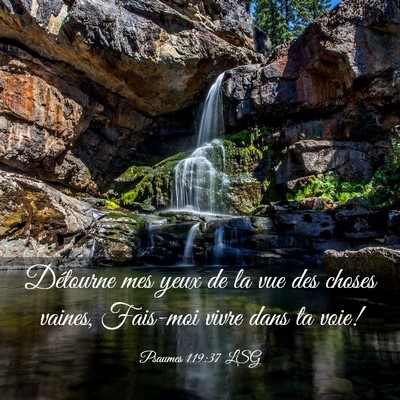 Picture 03 - Psaumes 119:37 LSG - Détourne mes yeux de la vue des choses vaines, - Bible Verse Picture