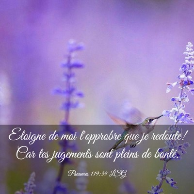 Picture 03 - Psaumes 119:39 LSG - Eloigne de moi l'opprobre que je redoute! Car tes - Bible Verse Picture