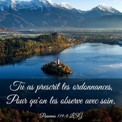 Picture 03 - Psaumes 119:4 LSG - Tu as prescrit tes ordonnances, Pour qu'on les - Bible Verse Picture