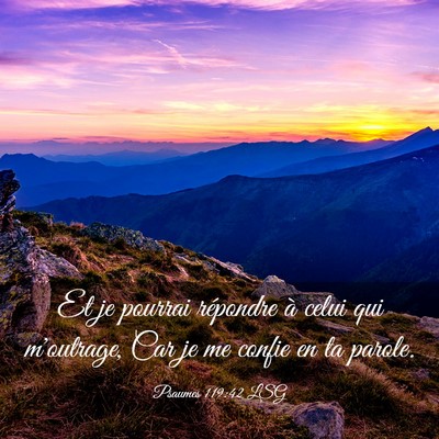 Picture 03 - Psaumes 119:42 LSG - Et je pourrai répondre à celui qui m'outrage, - Bible Verse Picture
