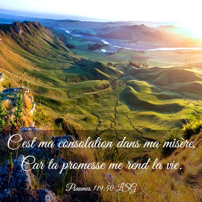 Picture 03 - Psaumes 119:50 LSG - C'est ma consolation dans ma misère, Car ta - Bible Verse Picture