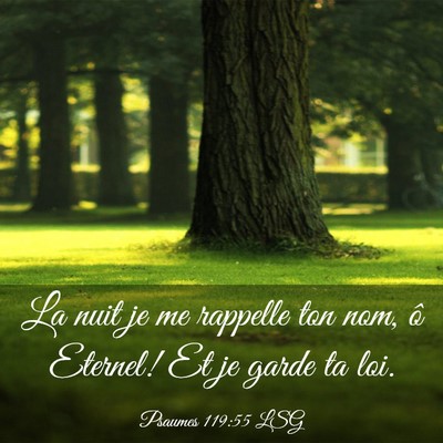 Picture 03 - Psaumes 119:55 LSG - La nuit je me rappelle ton nom, ô Eternel! Et je - Bible Verse Picture