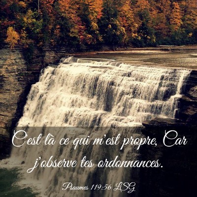 Picture 03 - Psaumes 119:56 LSG - C'est là ce qui m'est propre, Car j'observe tes - Bible Verse Picture